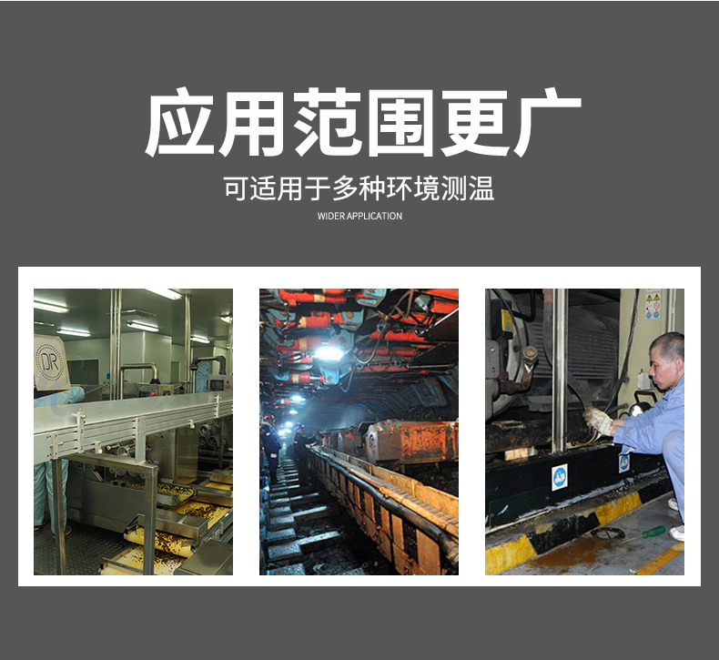 2008一體化溫度傳感器8_http://www.salipt.com.cn_溫度儀表_第7張