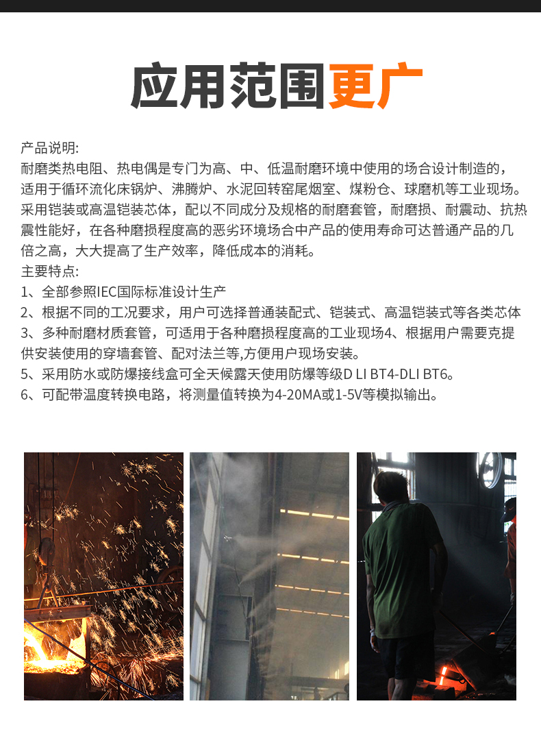WRNM-131耐磨熱電偶15_http://www.salipt.com.cn_溫度儀表_第6張