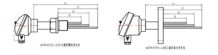 多支鎧裝熱電偶/熱電阻_http://www.salipt.com.cn_專用溫度傳感器_第2張